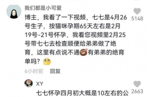娱乐吃瓜君和七七铲屎官,七七铲屎官与娱乐吃瓜君互撕事件真相揭秘”