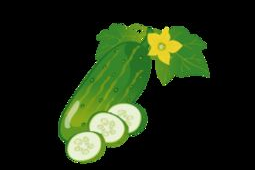 娱乐吃瓜酱视频边框设计,揭秘视频边框设计新潮流