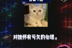 吃瓜 娱乐新闻在线观看,吃瓜娱乐新闻，在线观看最新热点