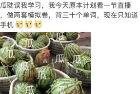 娱乐圈吃瓜大全pdf,吃瓜大全PDF深度解析