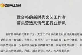 娱乐圈吃瓜报告,揭秘明星幕后故事与热点事件