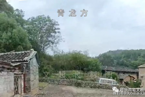 娱乐吃瓜酱连自己人也坑,坑人无数，连自己人也坑的“瓜王”传奇