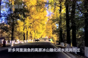 娱乐吃瓜君黄山,揭秘娱乐圈背后的那些事儿