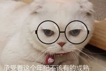 娱乐吃瓜君说刘二豆没了