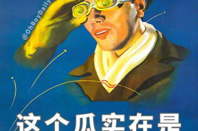 娱乐吃瓜君高情商,娱乐界的智慧解读