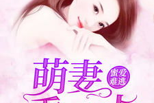 娱乐吃瓜君名媛是谁啊小说,名媛背后的神秘故事