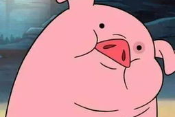 娱乐吃瓜酱猪猪视频下载,揭秘热门娱乐内容获取新方式