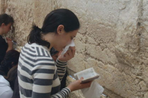 娱乐吃瓜君陶白白,揭秘吃瓜文化背后的真相