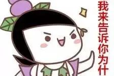 娱乐吃瓜酱爱藏在废话里,藏在废话里的趣味揭秘