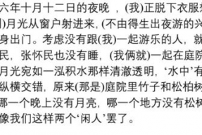 娱乐吃瓜酱文言文翻译,娱乐圈八卦风云录